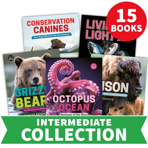 Orca Wild Collection